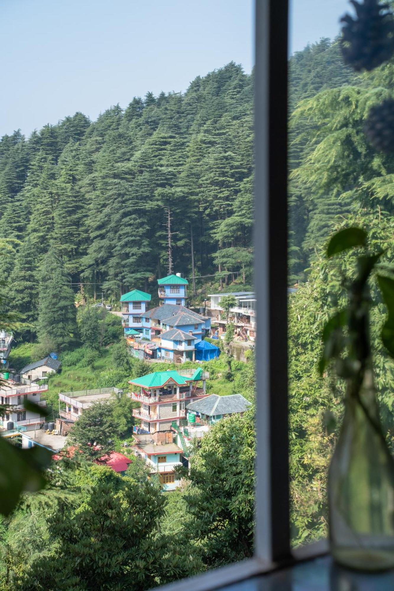 Bed and Breakfast The Unmad - Dharamkot Dharamsala Zewnętrze zdjęcie