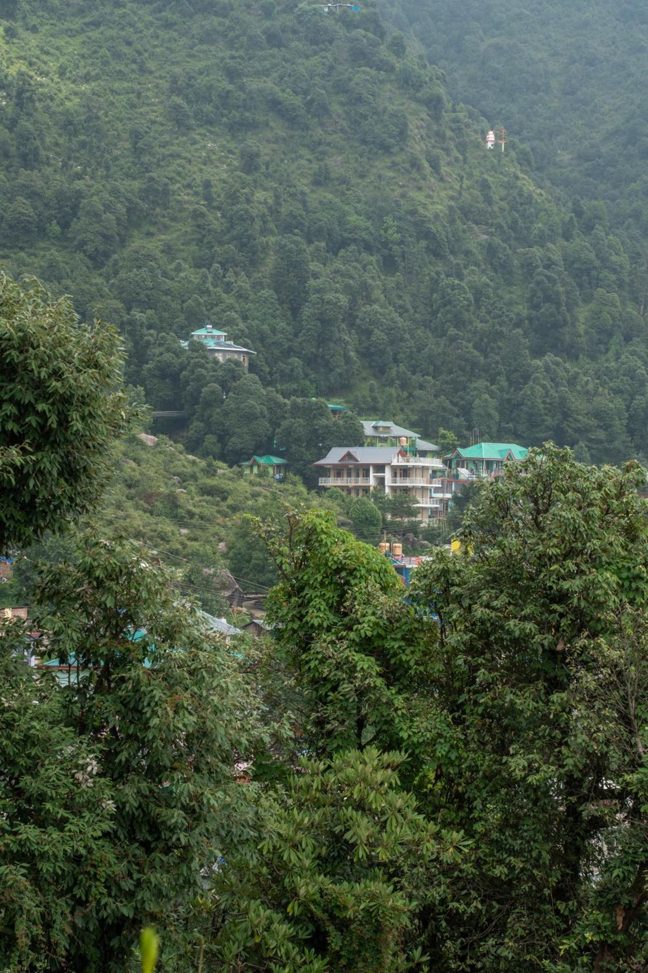 Bed and Breakfast The Unmad - Dharamkot Dharamsala Zewnętrze zdjęcie
