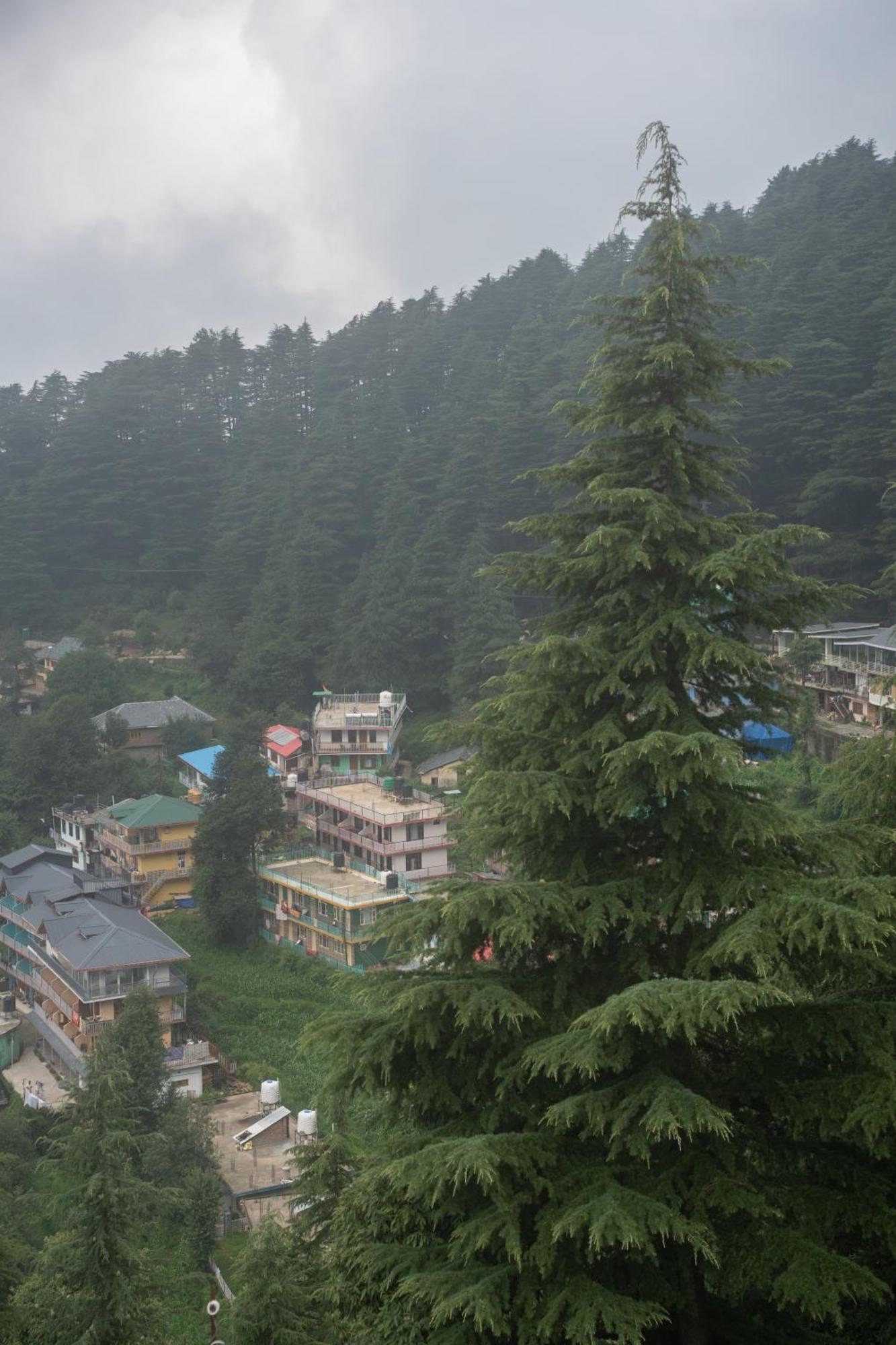 Bed and Breakfast The Unmad - Dharamkot Dharamsala Zewnętrze zdjęcie